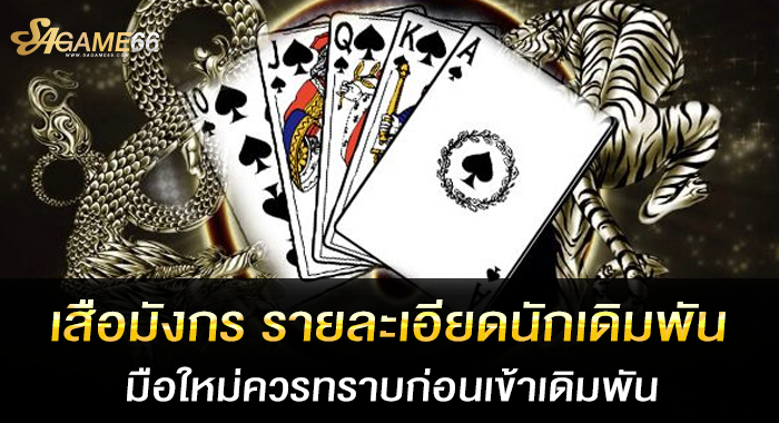 เสือมังกร ความต่างตอบโจทย์มากกว่าบาคาร่าเปรียบเทียบได้ง่าย