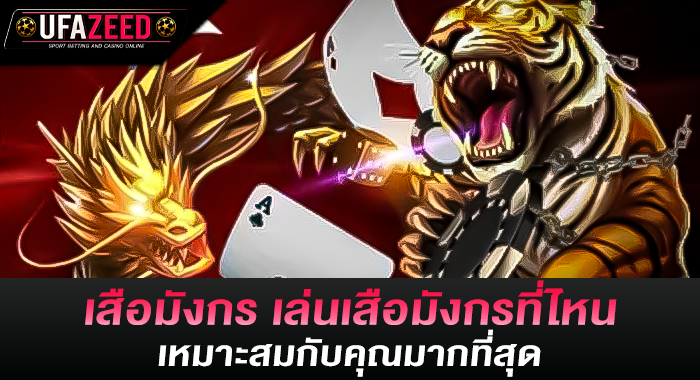 เสือมังกร เล่นเสือมังกรที่ไหน เหมาะสมกับคุณมากที่สุด